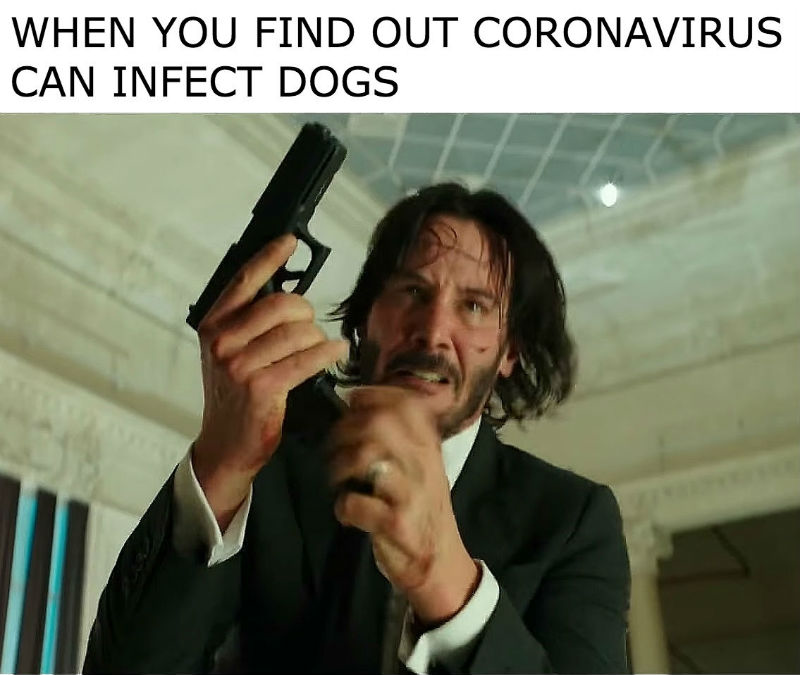 1586611973589.png