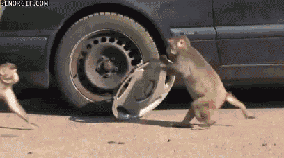 1590964971373.gif