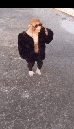 1590966906040.gif