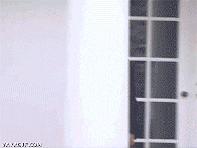 1595071753627.gif