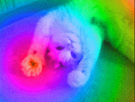 1595079062630.gif