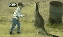 1611391596743.gif