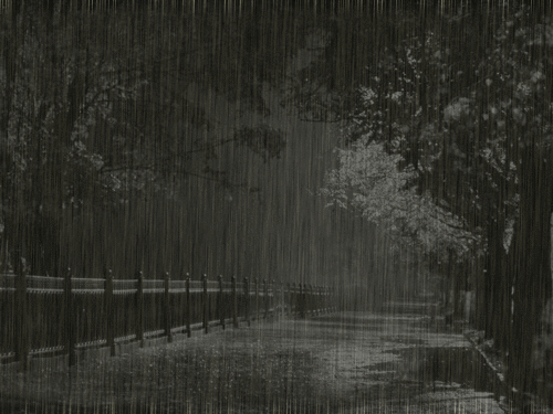 1611798088491.png