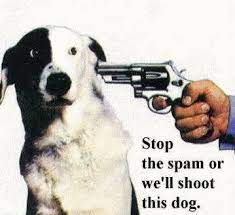 Stop Spam | Drupal.org