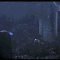 1693693259396.gif