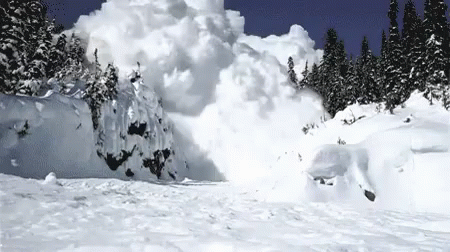 1698335427256.gif