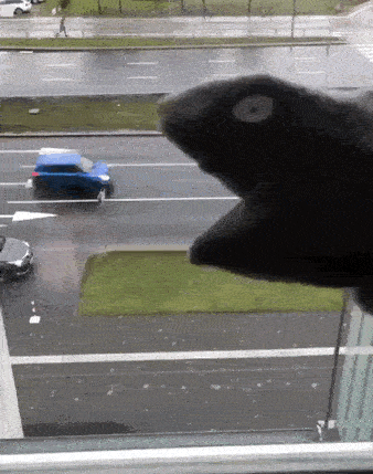 16FF9DCA-24A0-4764-B79B-FF1FEC126E16.gif