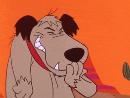 1704549362662.png