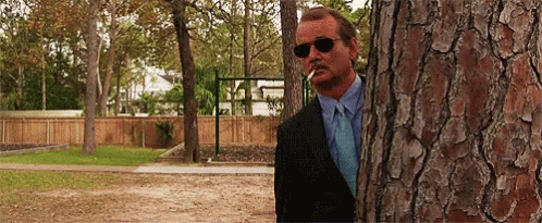 1E85EC9B-6887-43D0-A749-7BE25C1E76D0.gif