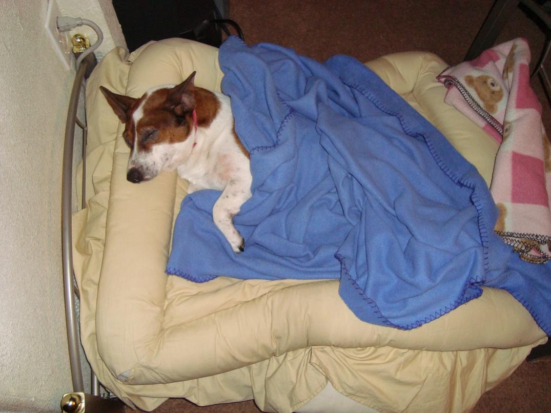 2. Bed.jpg