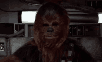 200 (1).gif
