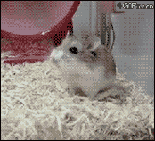 200 (1).gif