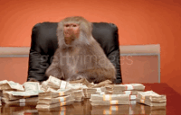 200w_d.gif