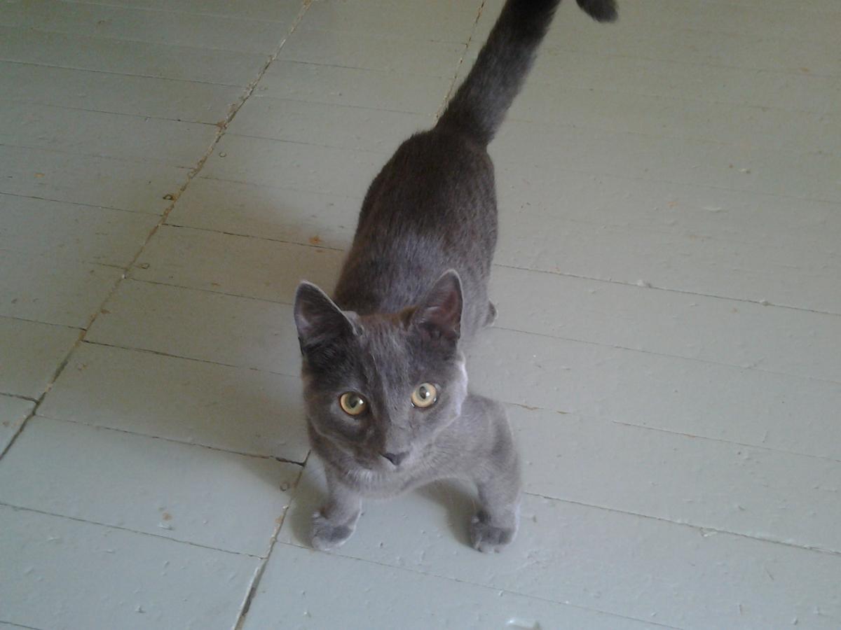 20130901_135411.jpg