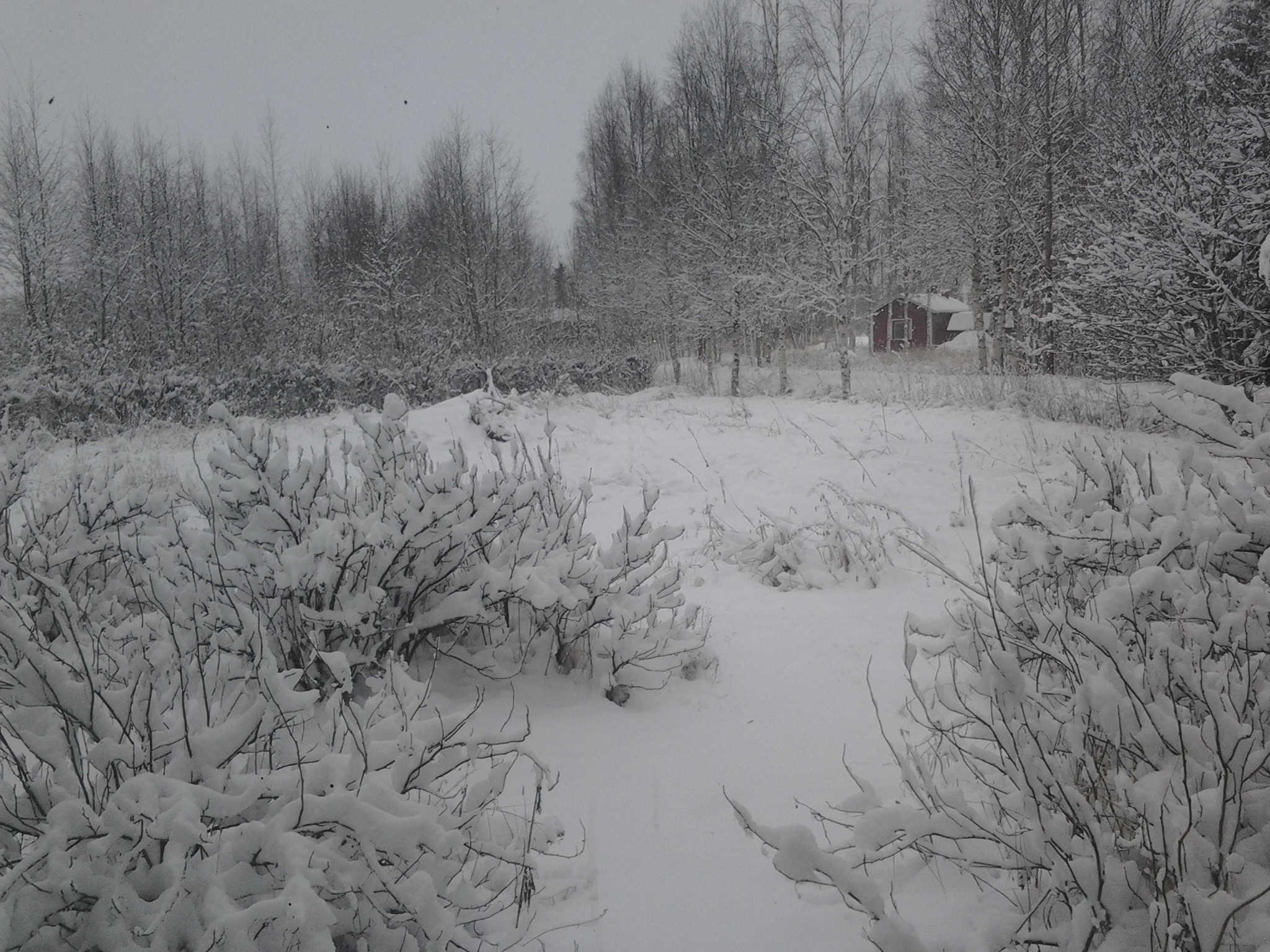 20151121_114023.jpg