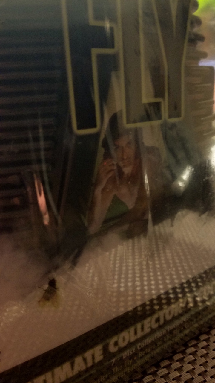20170505_022431 (720x1280).jpg