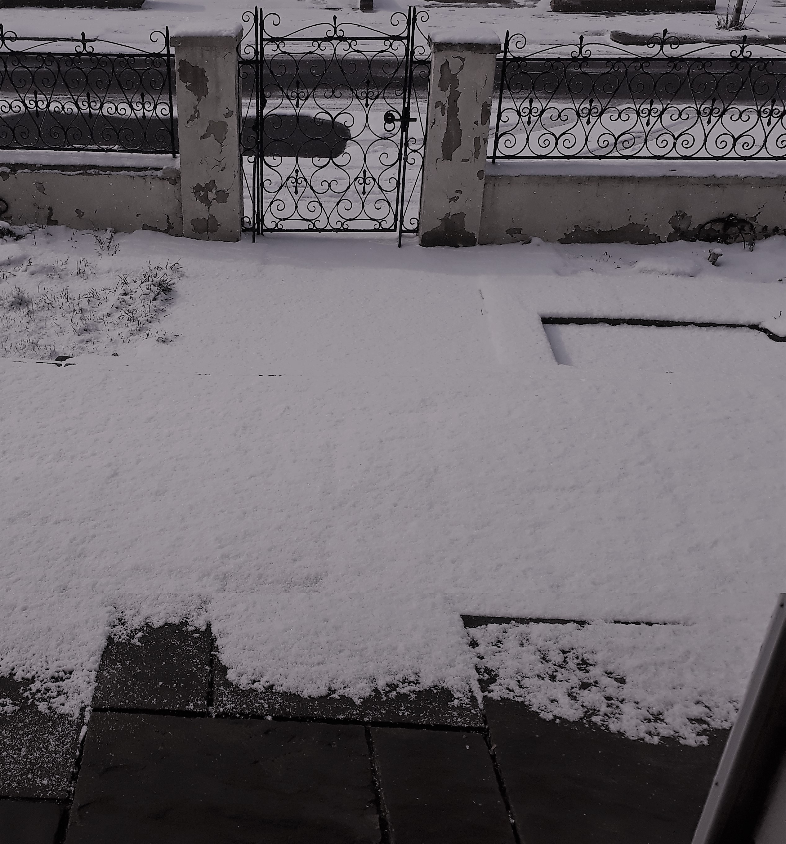 20180228_124727.jpg
