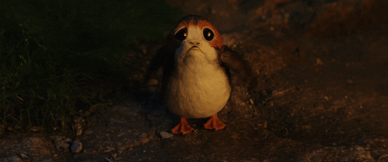 20201111_162747.gif
