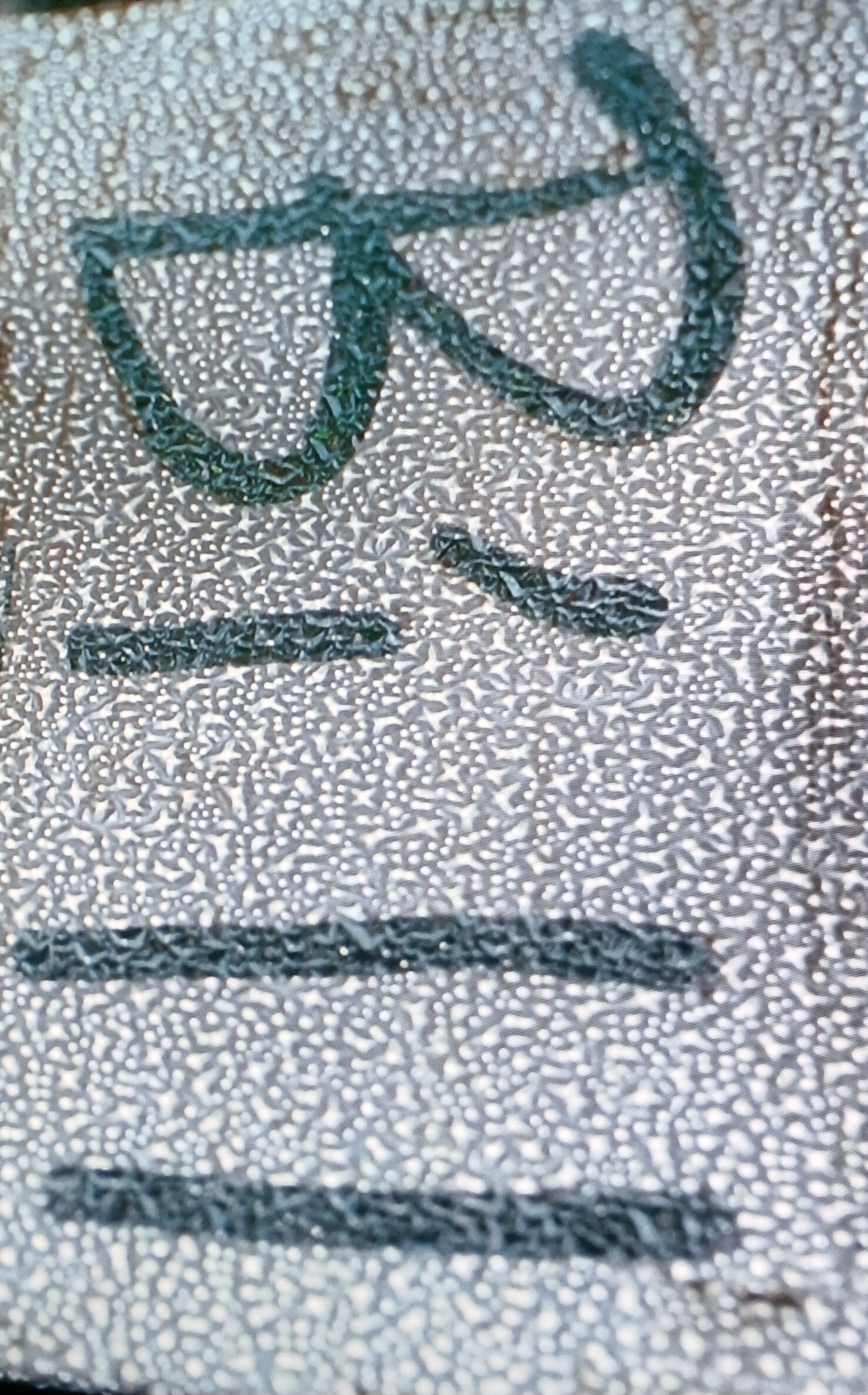 20260523_205501.jpg