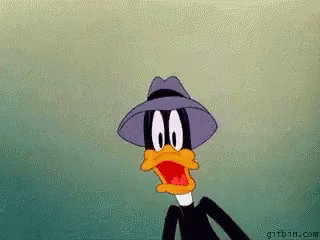20952355_10213878425700477_6458480208625270784_n.gif