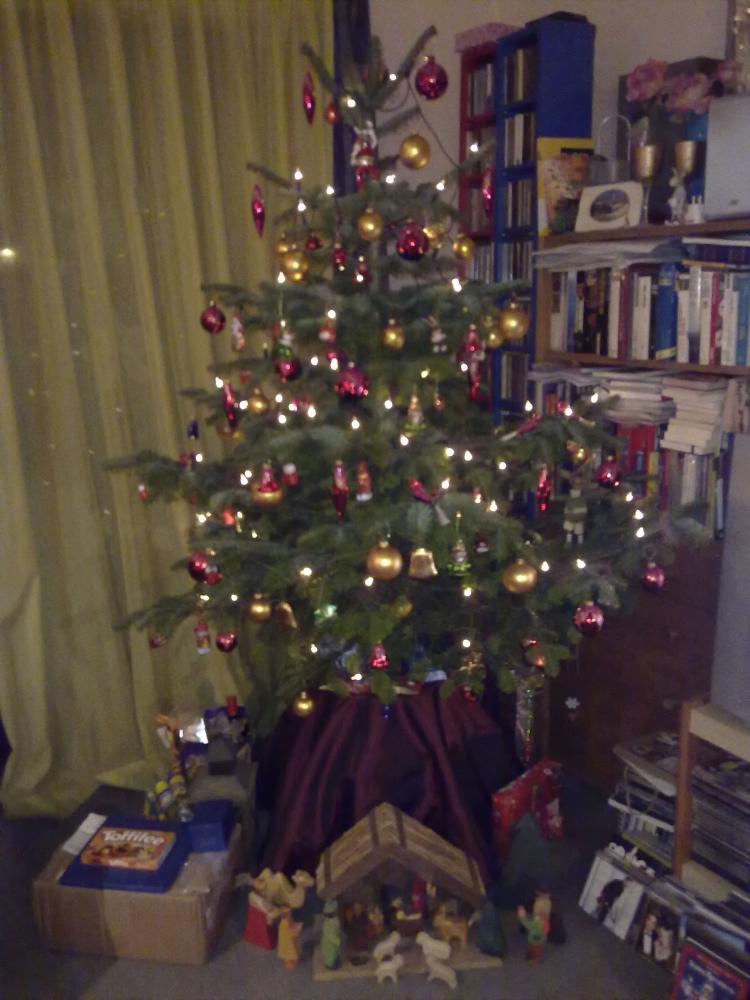 23122012556.jpg