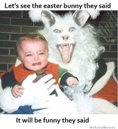 246753-Let-s-See-The-Easter-Bunny-They-Said-It-Will-Be-Funny-They-Said.jpg