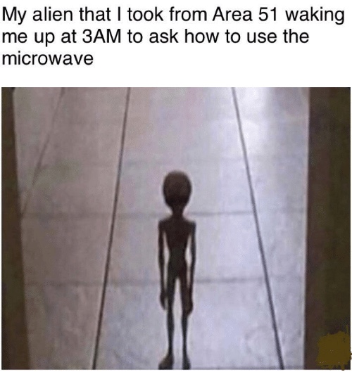 2640948B-7E03-426E-8FEB-61DEF90C9319.jpeg