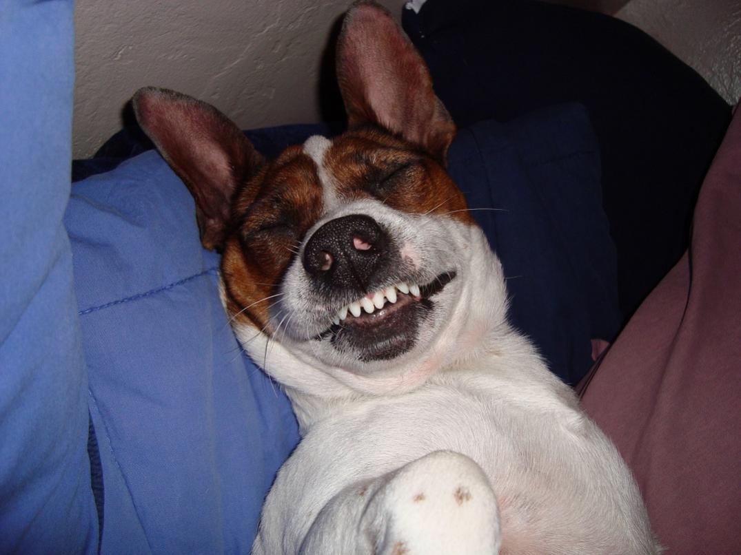 3. They see me Sleeping... they hating!.jpg
