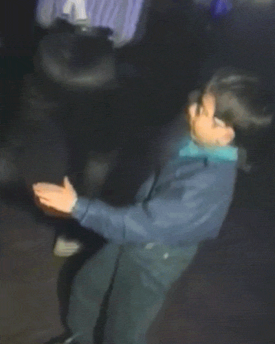 327EA771-5D2A-420D-8CE1-3B5B164A7A0C.gif