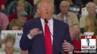 35D0E779-4DE0-4E7C-A523-FEBA8F2B9517.gif