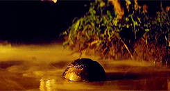 38D9.gif