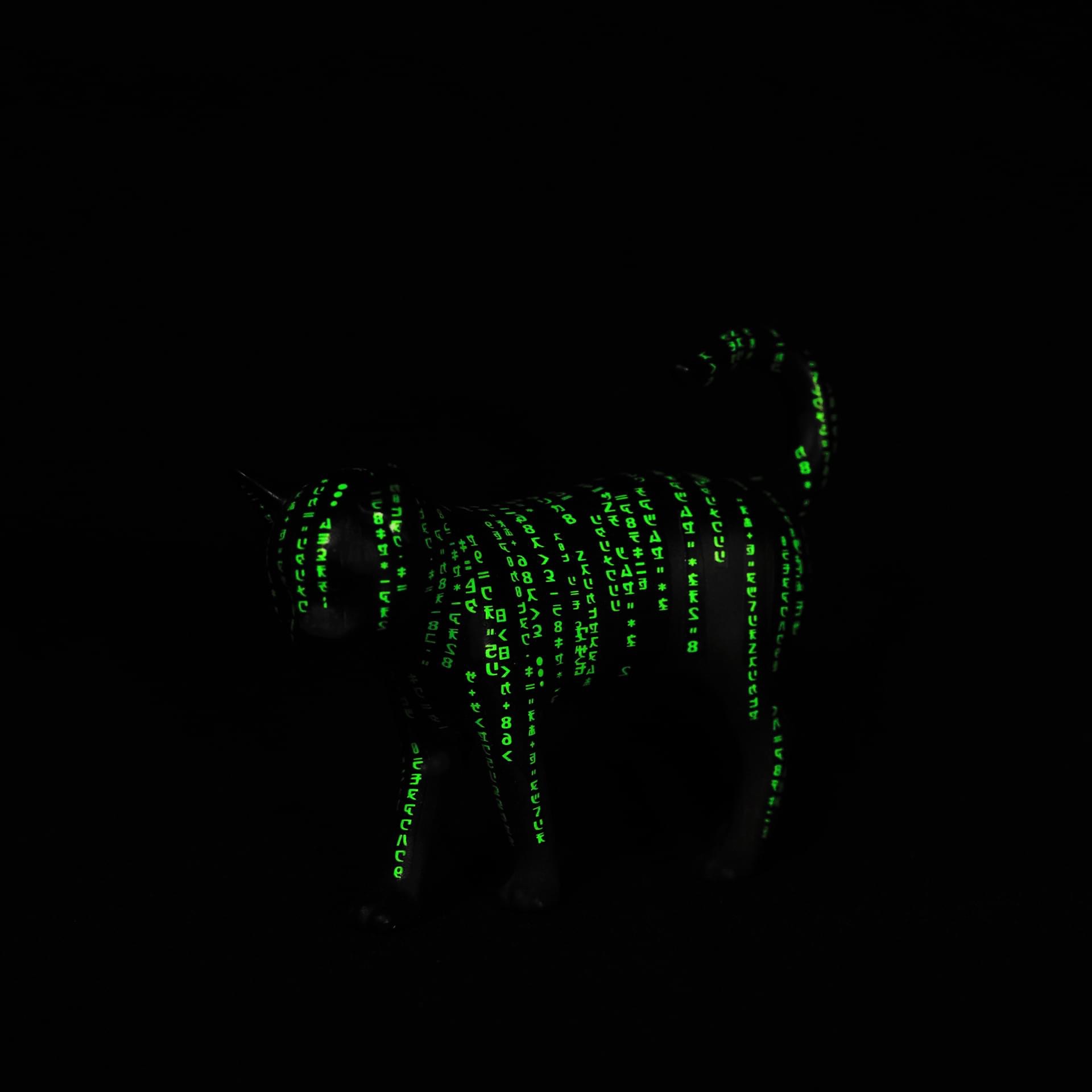 3A7D9BA2-E246-40A0-B018-BA679E6EDB4C.jpeg