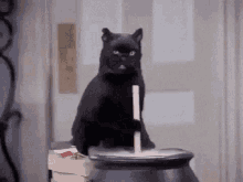3E66F109-4C48-45BA-A19C-6B65726AA5E9.gif