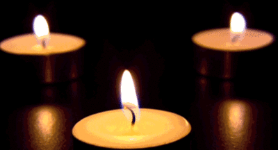 52860003-7687-49E8-A022-3CD71A0ECA0E.gif