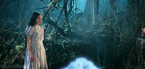 550C061D-245F-4F50-992C-A36FEB2CF14F.gif