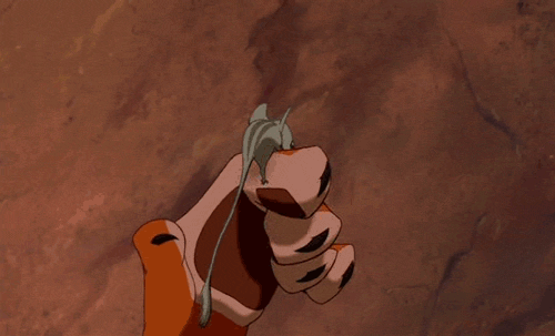 57FA1EC8-1020-496F-BC49-44E2B0B1400C.gif
