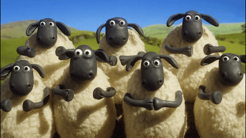 5899A13B-D8C2-40C5-B2FA-9D0629B28706.gif
