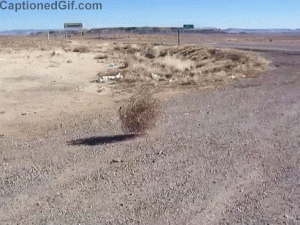 5B9D2962-122A-4A70-A346-57BC3C8F68EC.gif
