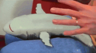 5D439B3B-A799-4322-8C8E-0F7334505305.gif