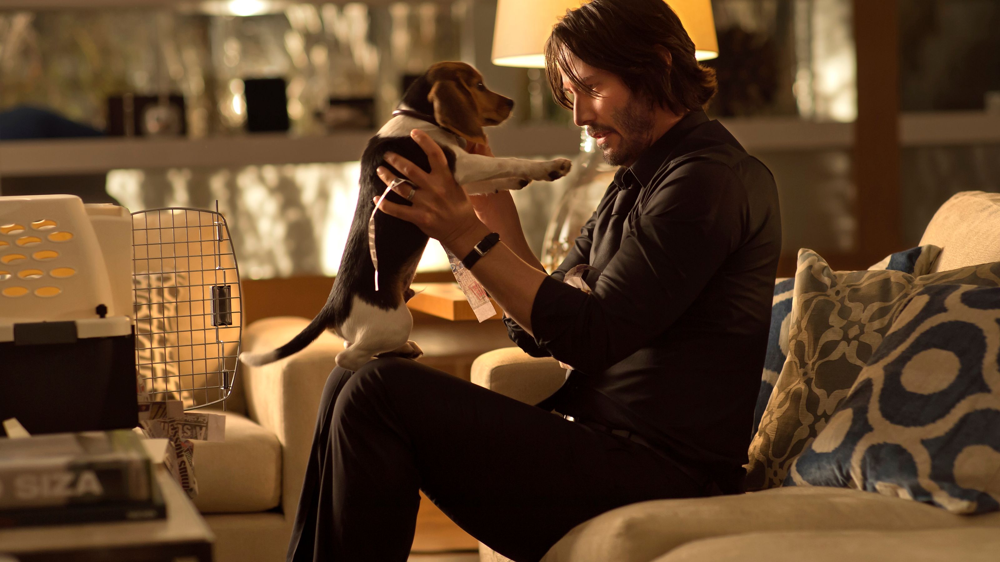 635494961822000008-BEAGLE-JOHN-WICK-MOV-JY-3400-68084492.jpg