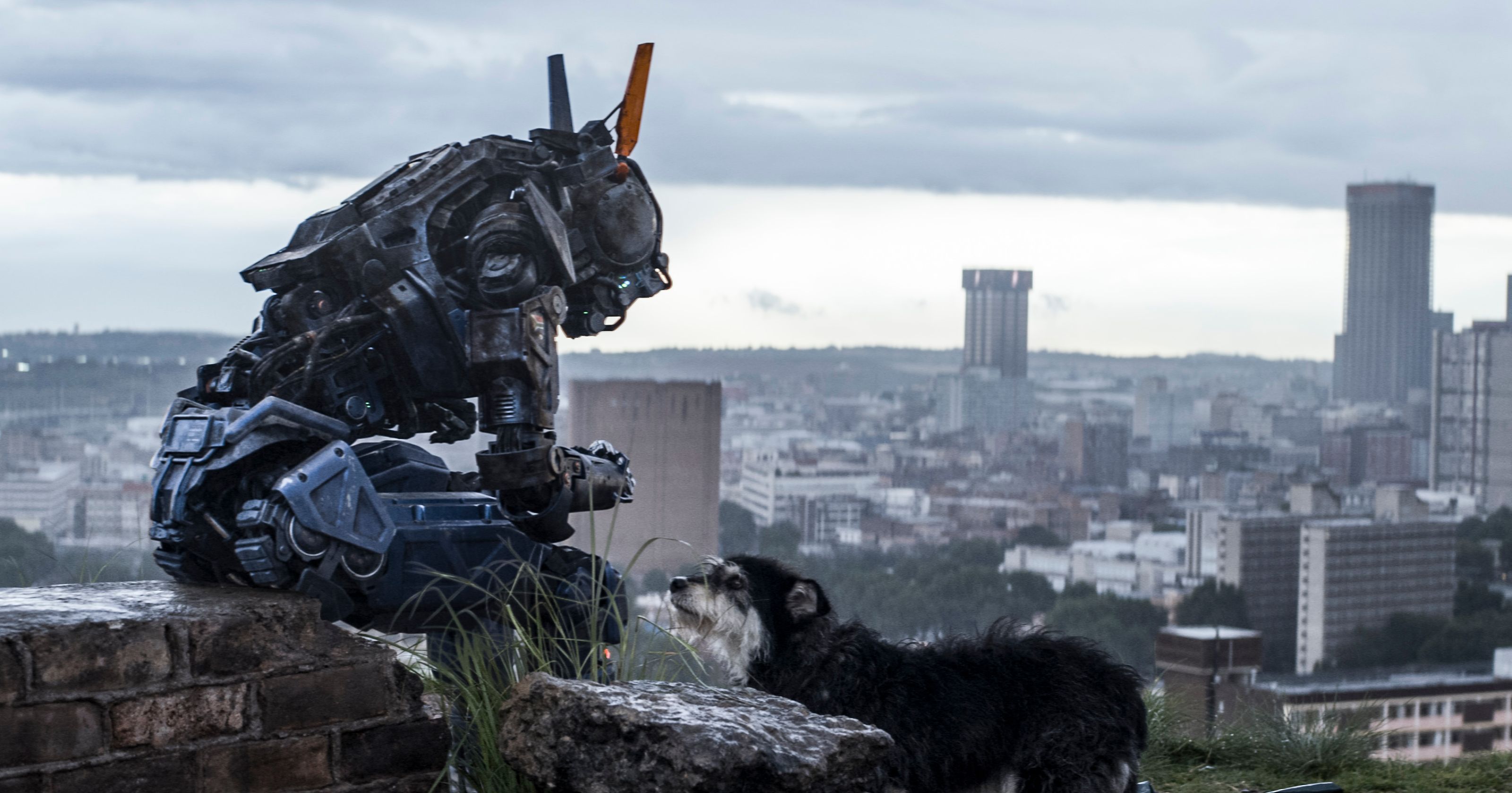 635611686719477501-XXX-CHAPPIE-MOV-jy-4648-.JPG