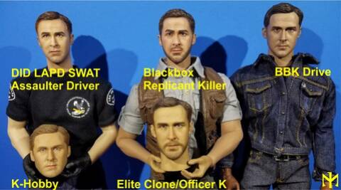 6gosli11.jpg