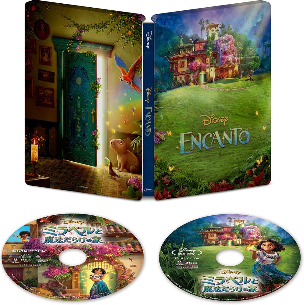 Encanto (4K+2D Blu-ray SteelBook) ( Exclusive) [Japan]