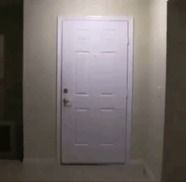 7D4B4DDF-AAF5-46DE-83D4-CB5965F8C702.gif