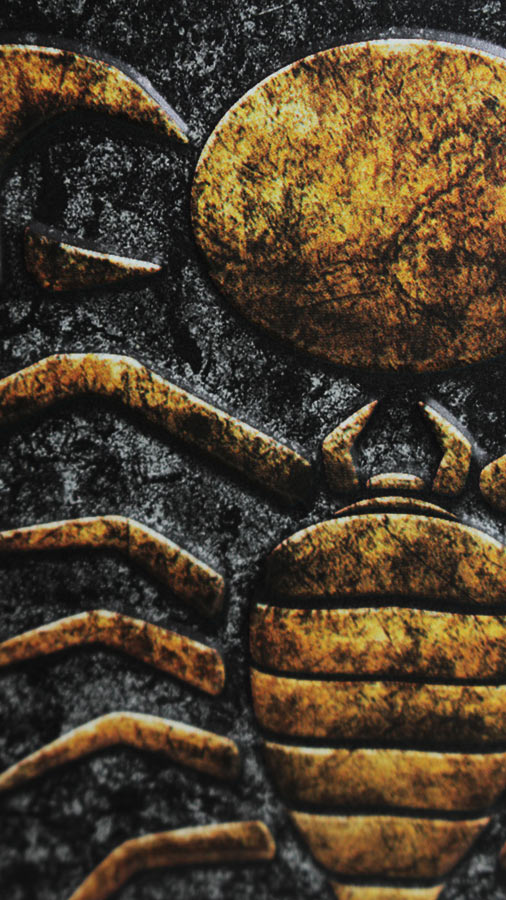 7mummy2-closeup.jpg
