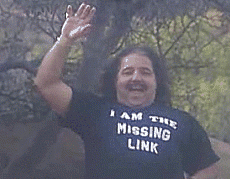 83647997.gif