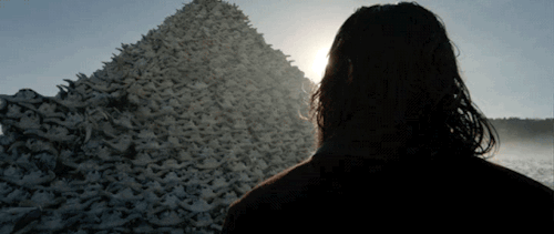 854b6c161e2f8d20d4ebf243fec1f4b1.gif