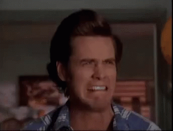86CAB798-A064-4430-AFB1-18FCAD76BF23.gif