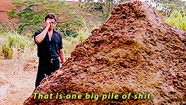 8a0ea5d968e0337a64c57e28a8d14544.gif