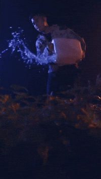 92859AB9-640B-4F59-8545-96D672AD5BF3.gif